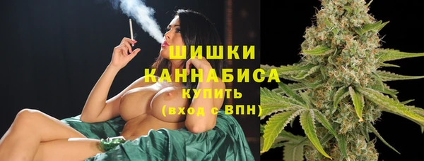 spice Мурманск