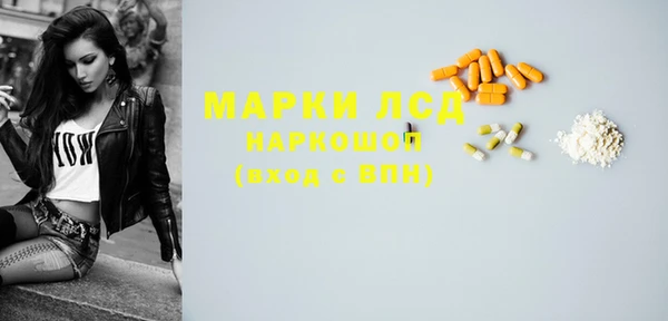 индика Лихославль