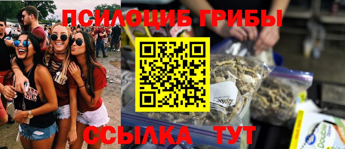 Галлюциногенные грибы Psilocybine cubensis  где можно купить наркотик  Железноводск 