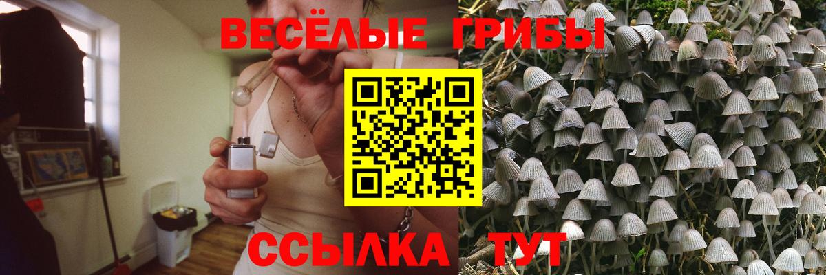 Псилоцибиновые грибы ЛСД Железноводск