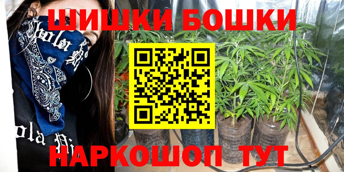 Шишки марихуана сатива Железноводск