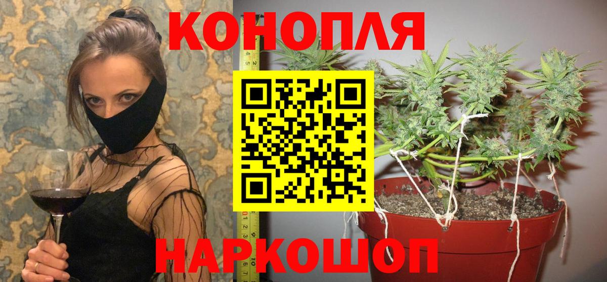 Канабис семена  Канабис индика  Железноводск 